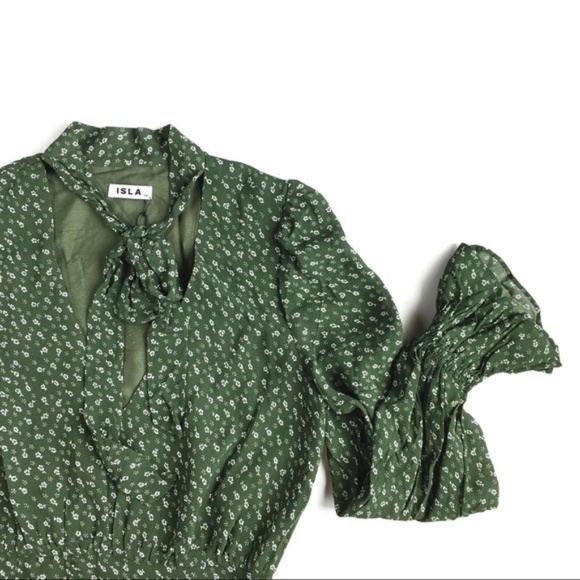 ISLA "Eurydice" Forest Florals LS Ruffle Dress - Picture 5 of 8